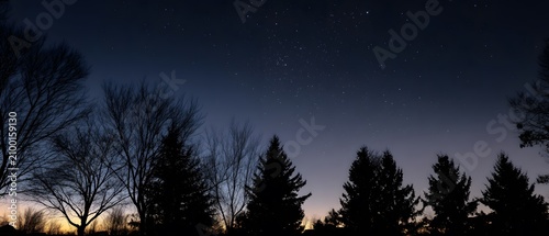 Silhouettes of trees against a twilight sky with a single star.