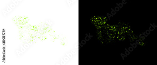 Canvas Print Abstract green particle cheetah silhouette, wild cat animal shape made of glowin