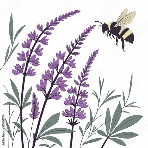 Tableau sur toile A charming of a bumblebee approaching purple lupine flowers with green leaves an