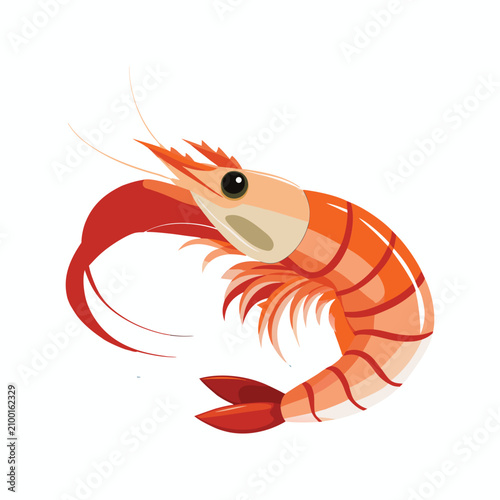 Curved Orange Shrimp Vector Illustration Isolated on White Background