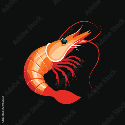 Orange Shrimp Cartoon Vector Illustration on Black Background