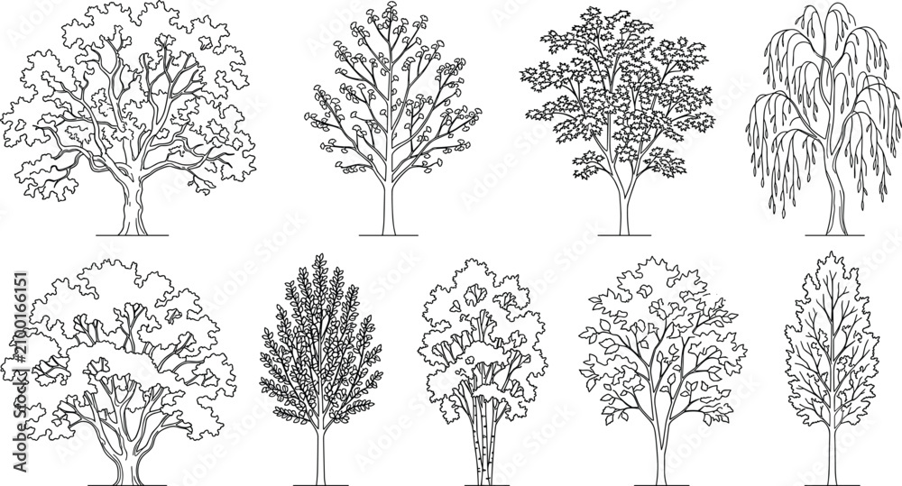 Fototapeta premium Black and white line of various types of trees and plants isolated on white background foliage leaves