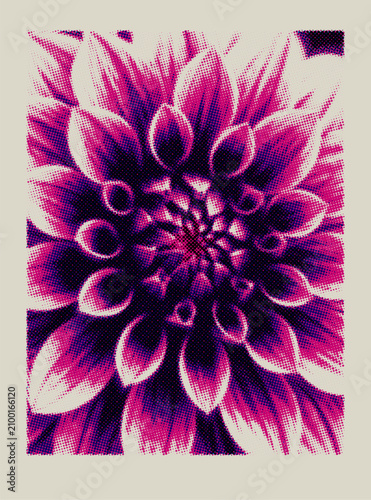 Halftone pink flower poster with retro dotted pattern texture