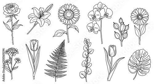 Floral ornament collection black and white line drawing on a white background