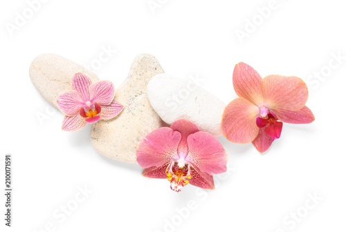 Three pink and peach orchid...