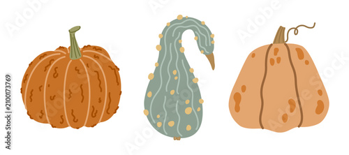 Fotografía Pumpkin vector set featuring three orange green warty squash illustrations