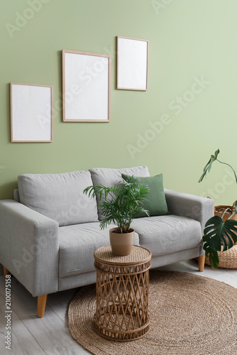 Cozy sofa, houseplant and b...