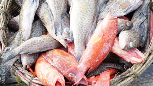 Фотография fresh fish on the roadside