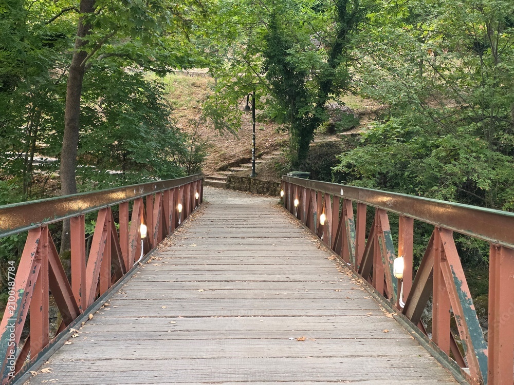 Obraz premium bridge in the forest