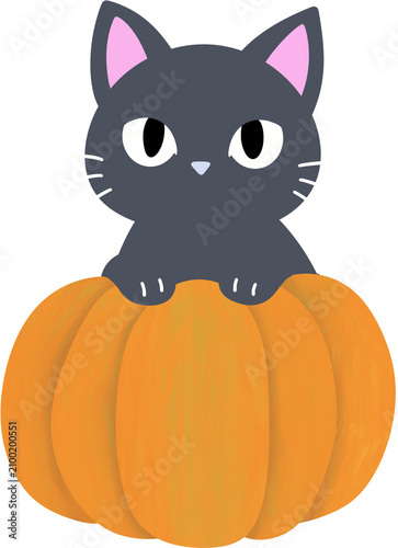 Cute black cat sitting behind pumpkin cartoon illustration for Halloween, Sweet Halloween black cat and pumpkin character design element