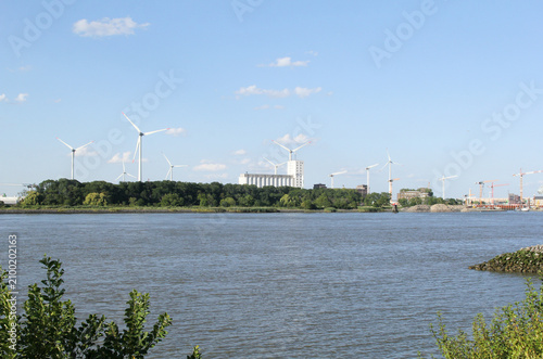 a beautiful view of the western scheldt near antwerp with trees and windmills at the business park in the background