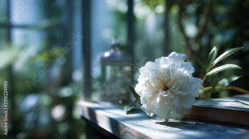 Dreamy white flower and old book on wooden surface