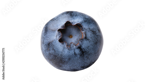 Photography Isolated perfect single fresh blueberry with its natural bloom and detailed caly