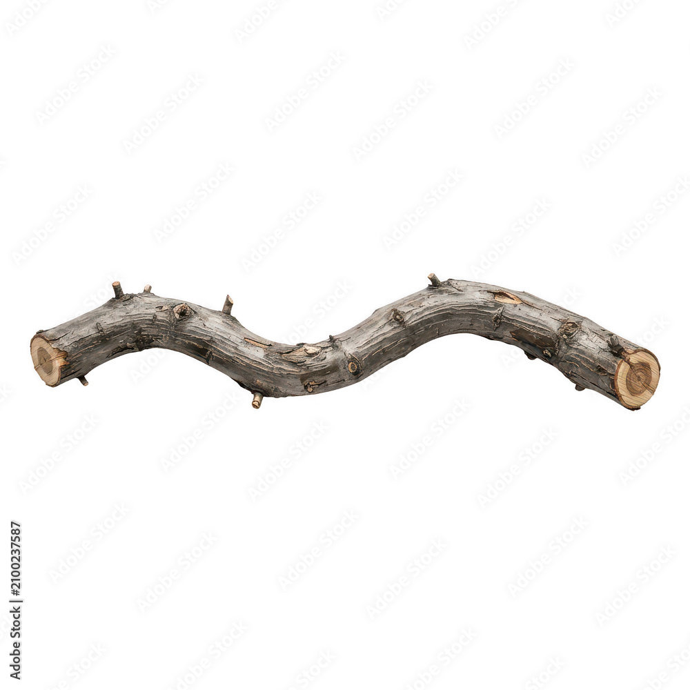 Fototapeta premium A single curved tree branch with cut ends and several small stubs on a white background used for decoration or crafting transparent background