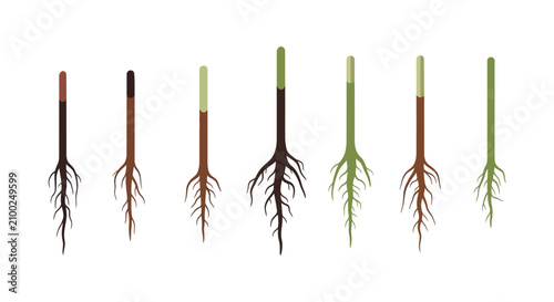 Foto Vector illustration of eight progressive plant seedling growth stages