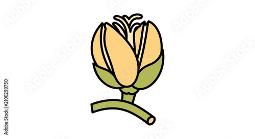 Photos Yellow flower bud vector illustration with green stem and sepals