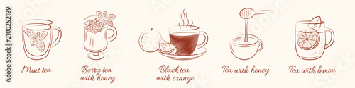 Cuadro en lienzo Outline collection of flavored tea drinks with herbs, citrus and honey