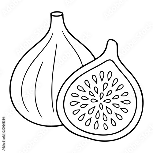 Hand-drawn minimalist vector icon illustration of a ripe fig fruit with whole and sliced views featuring delicate line outlines perfect for scalable food graphic designs and botanical illustrations