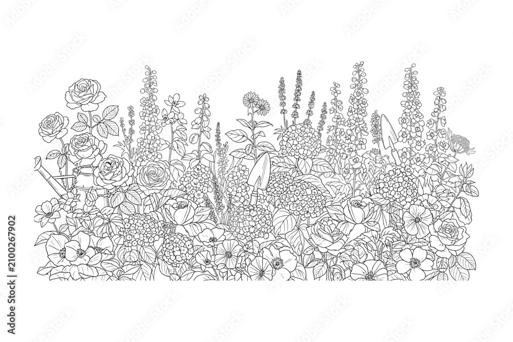 Fototapeta premium Botanical Illustration: Detailed Line Art of Blooming Flowers and Greenery