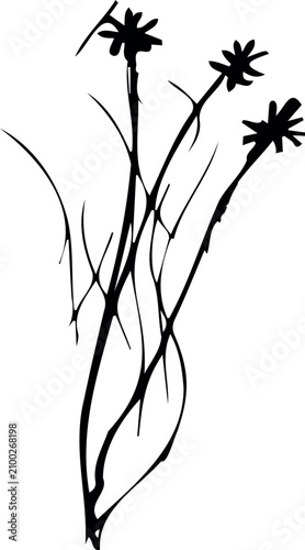 Sketch of wildflowers isolated on white background
