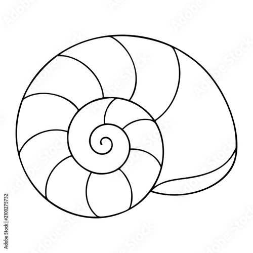 Obraz na plátne Minimalist hand-drawn vector illustration presenting a detailed spiral seashell