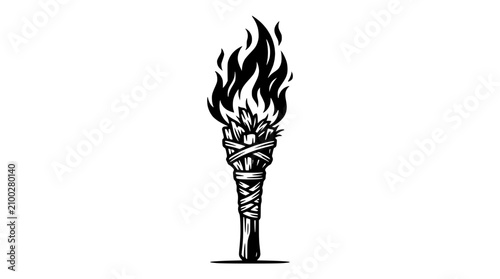 Fotografie Burning Torch Icon
