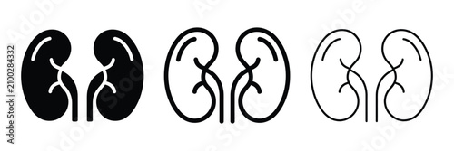 Kidneys icon silhouette vector, bold outline and line art design