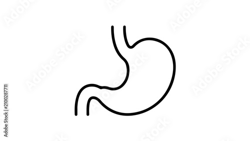 Simplified outline of stomach organ shown in anatomical diagram form for educational and medical reference materials.