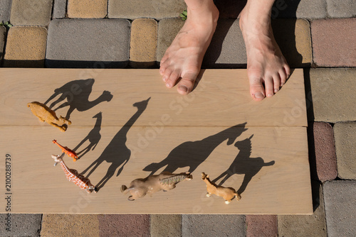 top view of a child's bare feet, various plastic animals, and their interesting shadows on a sunny day. Games with light and shadows. Young zoologist. Toys and their use