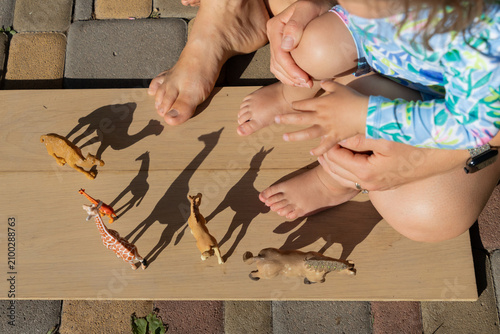 barefoot adult and a child play with toy animal figures, giraffe, a camel, and a horse and observe their contrasting shadows on a sunny day. A creative, imagination-building game for children