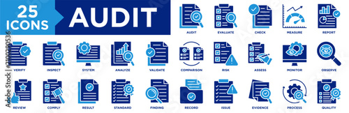 Fotografie Audit Icon Set Collection