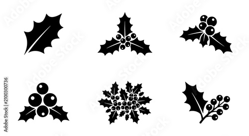Konstfotografi 70 Christmas Holly Icons, Festive Winter Berries & Leaves Vector Set, Seasonal H