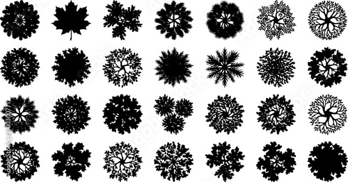 Konstfotografi Set of black tree top view silhouettes for landscape architecture and garden des