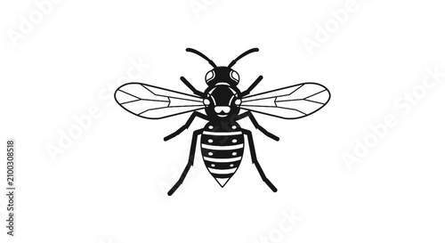 Canvastavla Flying wasp insect graphic silhouette