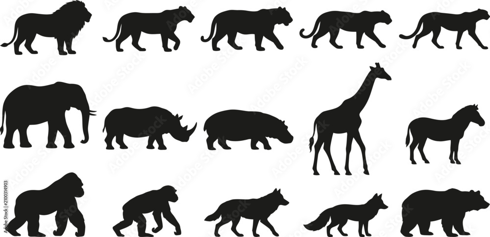 Obraz premium Wild animals and African safari fauna black silhouette vector icons set, zoo mammal creatures collection isolated on white background,Wild animals and African safari fauna black silhouette 