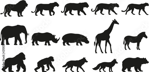Photography Wild animals and African safari fauna black silhouette vector icons set, zoo mam