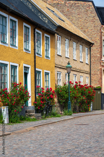 Cobblestone street with red roses and colorful facades in Lund Sweden