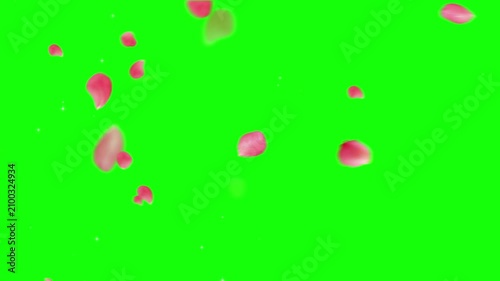 Pink petals drift slowly downwards across a vibrant green screen backdrop.