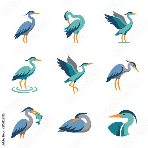 Collection of Various Colorful Herons and Egrets in Different Poses.