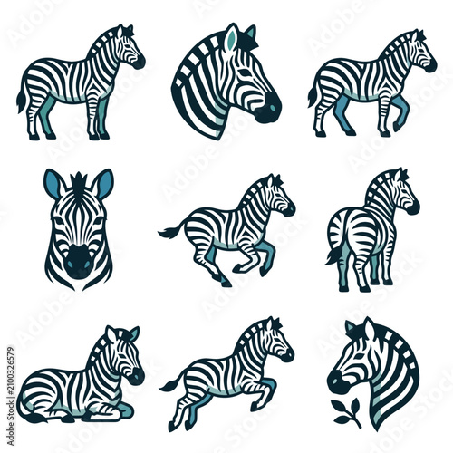 Collection of Various Zebra Illustrations Showing Different Poses and Angles.