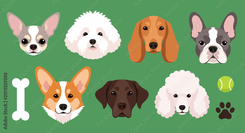 Fototapeta premium Flat vector dog breed icons set, cute pet animal faces collection with corgi and poodle, canine character head illustrations for veterinary branding
