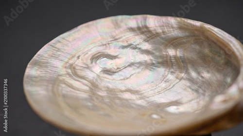 Natural mother-of-pearl oyster shell interior close-up, iridescent nacre surface with organic swirling growth rings, Indonesian marine heritage macro texture