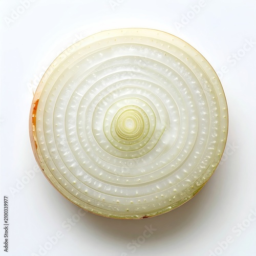 Translucent concentric rings of a sliced white bulb vegetable