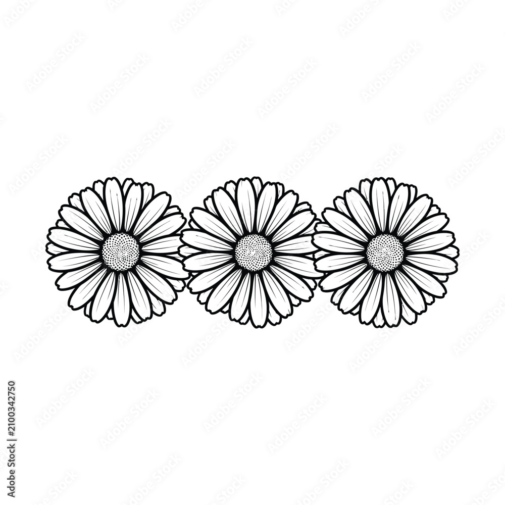 Fototapeta premium Three black and white stylized daisy flowers in a horizontal row, featuring detailed petals and textured centers.