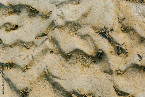 Фотография Abstract texture of dried crusted mud and sand