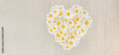 Herz aus Margeritenblumen