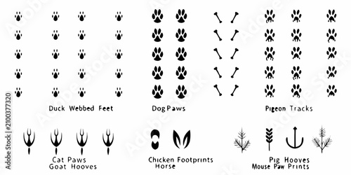 Quadro su tela Animal Footprints And Tracks Black Vector Illustration On White Background