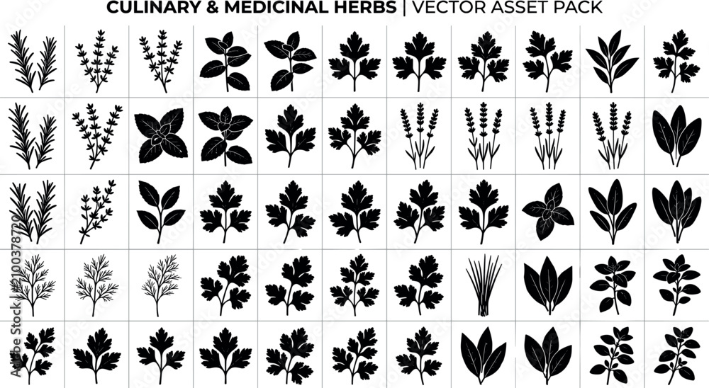 Obraz premium Culinary and medicinal herbs vector silhouette set with rosemary thyme parsley mint leavesCulinary and medicinal herbs vector silhouette set with rosemary thyme parsley mint leaves
