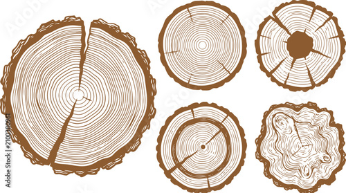 Photos Detailed brown vector illustration featuring multiple circular wooden tree rings