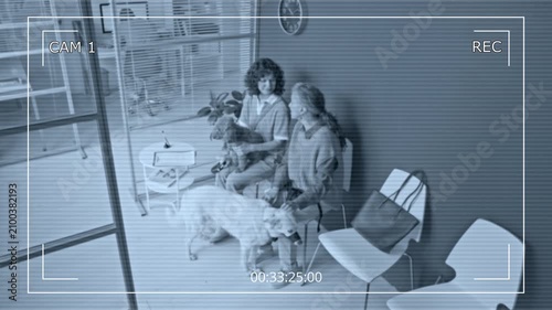 CCTV shot of middle aged Caucasian woman and senior Caucasian woman sitting with dogs in clinic, captured on security camera. Clip is perfect for veterinary security or pet care marketing videos